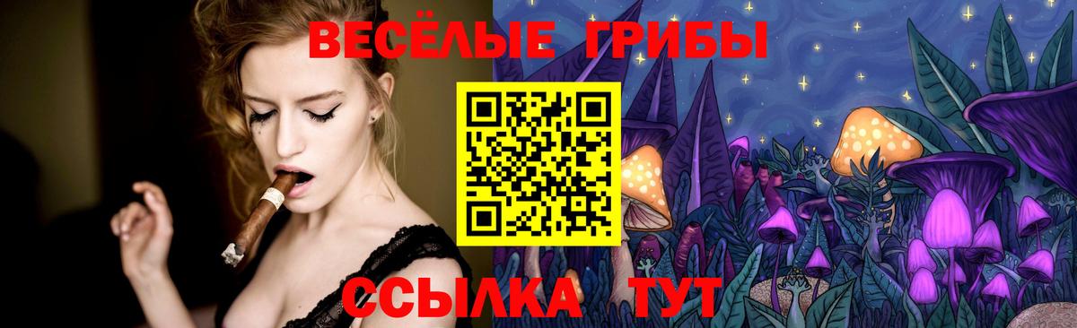 Псилоцибиновые грибы Cubensis  Вход с VPN  Дзержинский 
